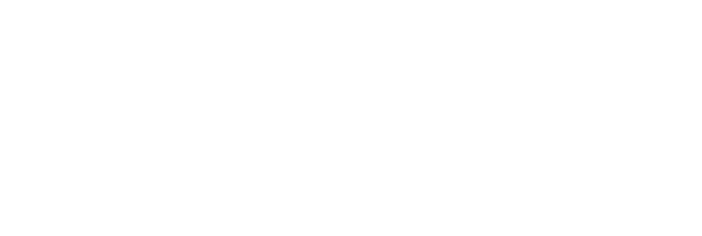 Fenix-marca